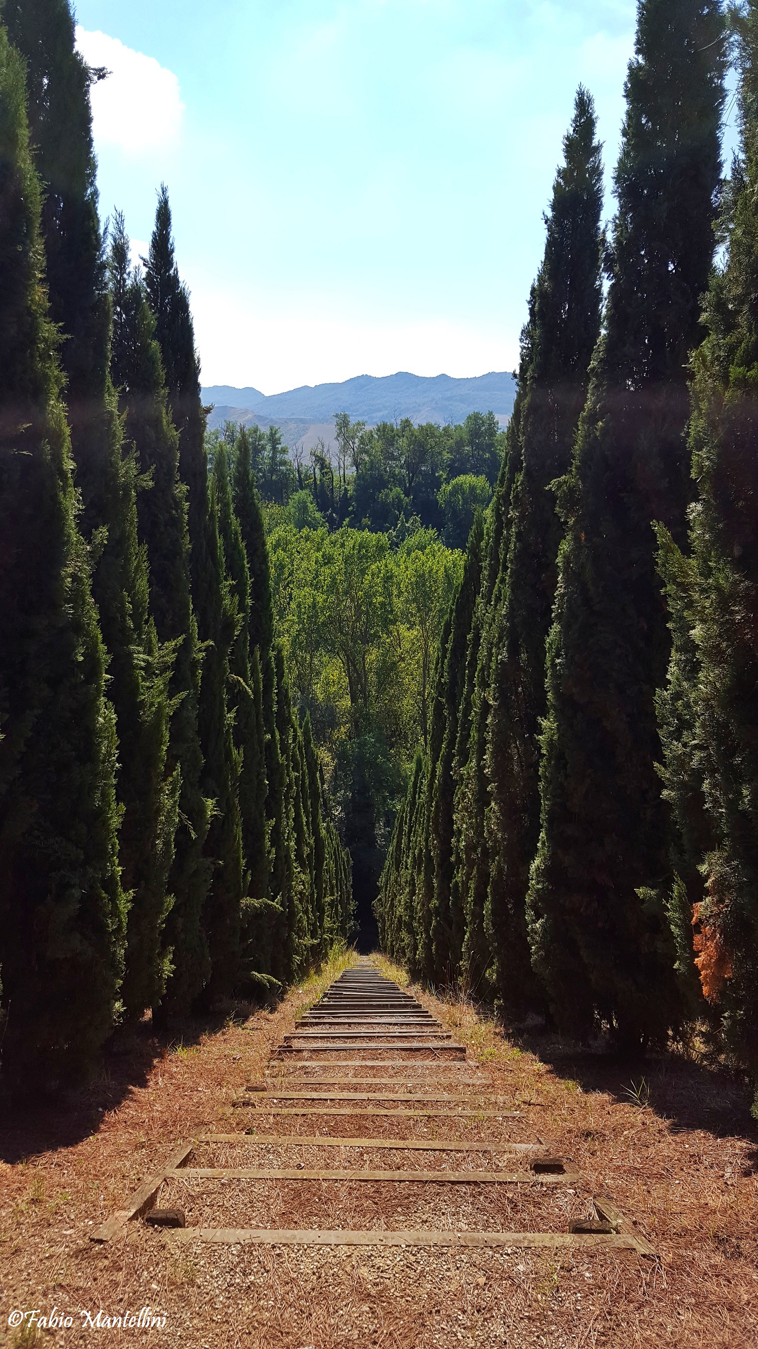 Parco Manusardi veduta scalinata