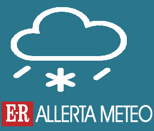 AllertaMeteo.png