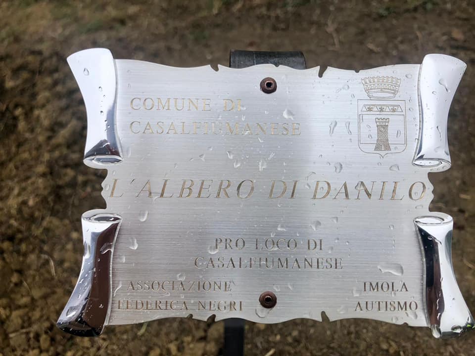 L'ALBERO DI DANILO