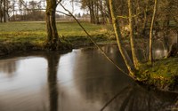 Raccolta legname nell'alveo dei corsi d'acqua